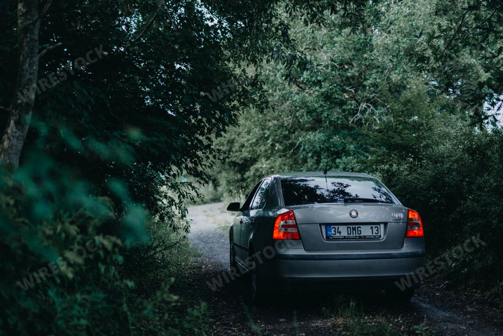 A gray Skoda Octavia parked in a forest in Istanbul, Turkey