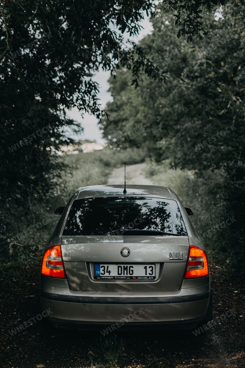 A gray Skoda Octavia parked in a forest in Istanbul, Turkey