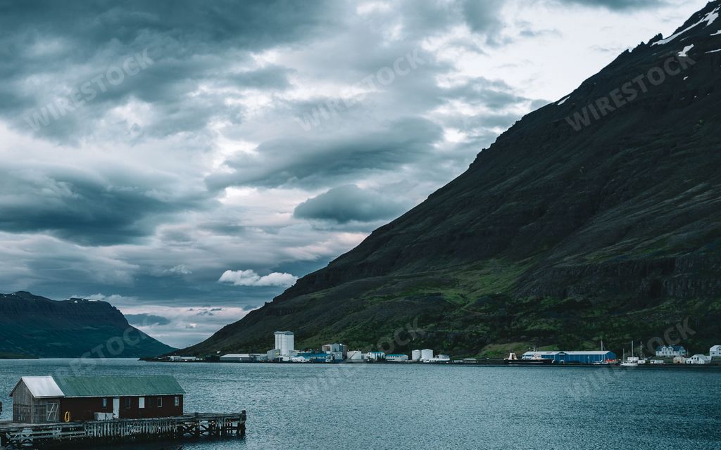 Waterfalls and animal life at the East Fjords - Ice