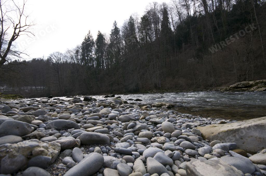 A beautiful view of the flowing rocky river surrounded by the forest in the park