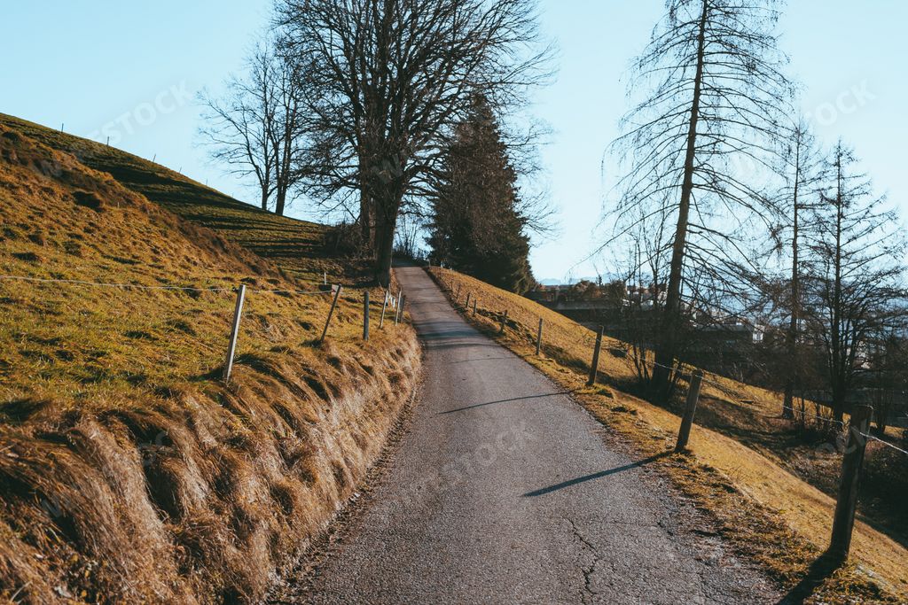 A closeup of a road leading to a mountain