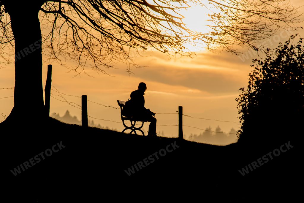 A silhouette shot of a lonely woman sitting on a bench under a bare tree