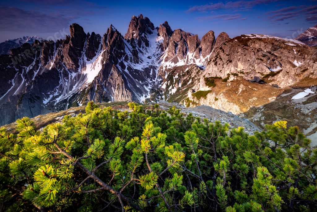 Scenic view of a pine tree against mountains, clouds, and blue sky