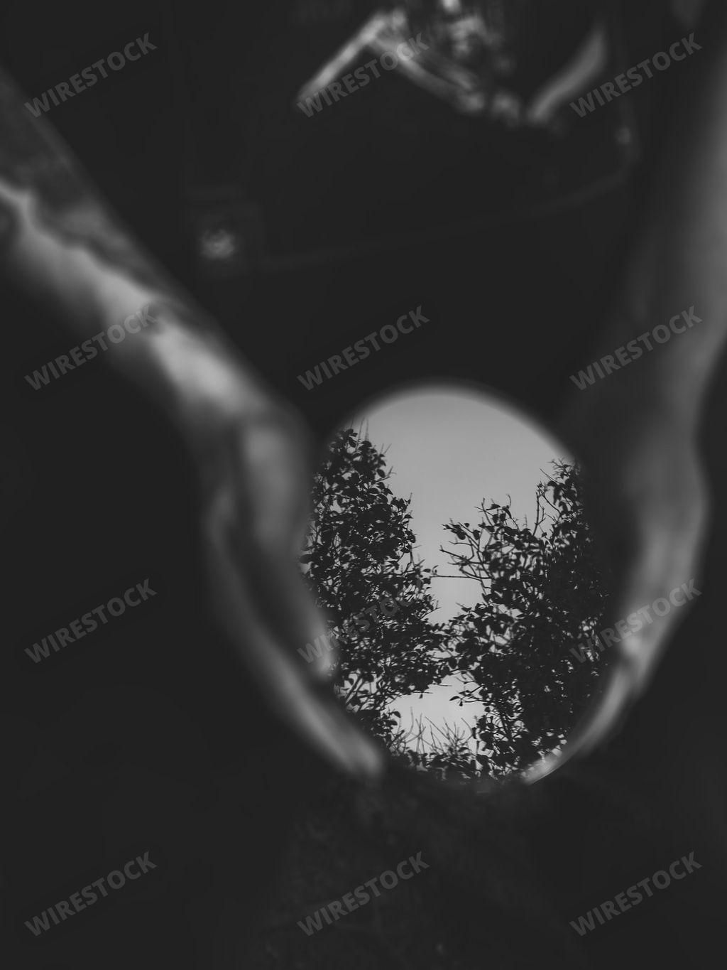 A shot of hands holding tree silhouettes on full moon