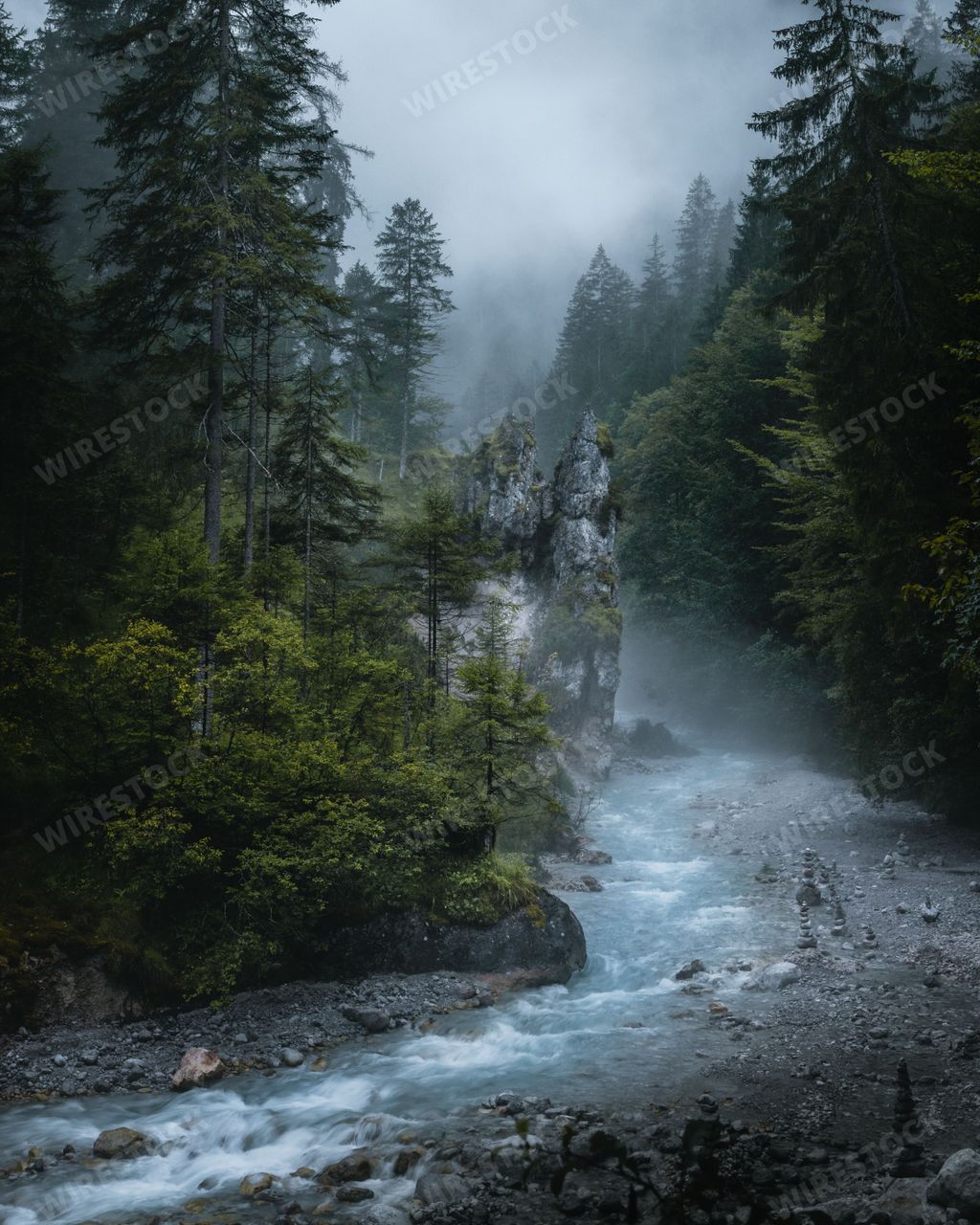 A beautiful view of a river flowing through the forest on a foggy day in Berchtesgaden, Germany.
