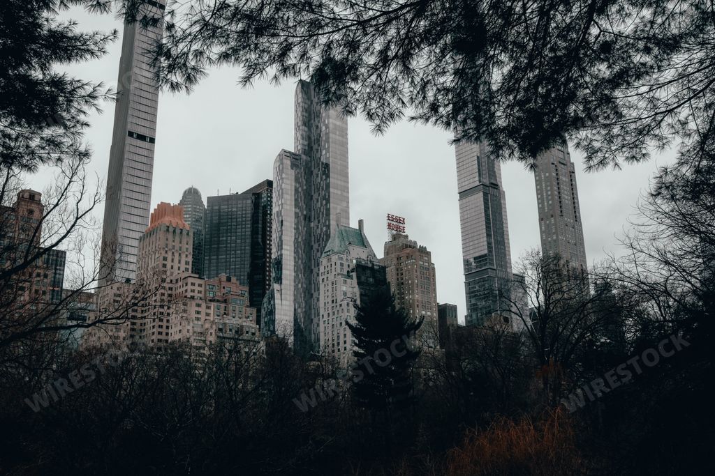 Office buildings skyline view from Central Park New York, USA