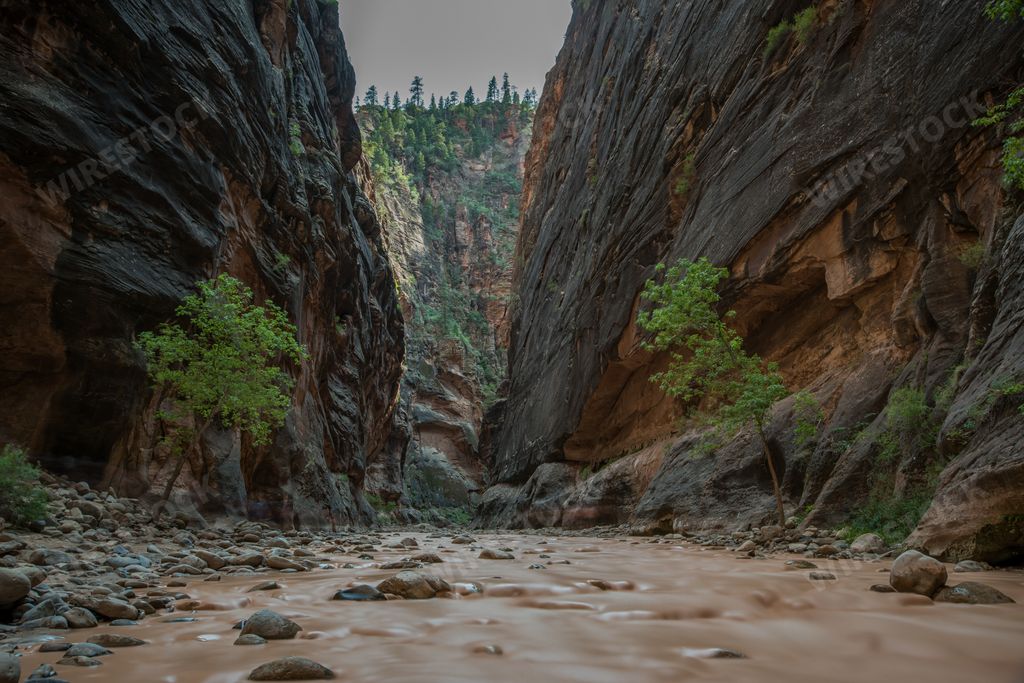 A horizontal shot of the breathtaking Narrows with beautiful green trees in Zion National Park, USA