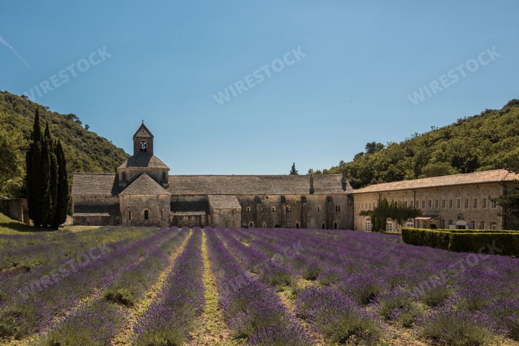 A landscape shot of the Senanque Abbey in Provence, France with a field of lavenders in front
