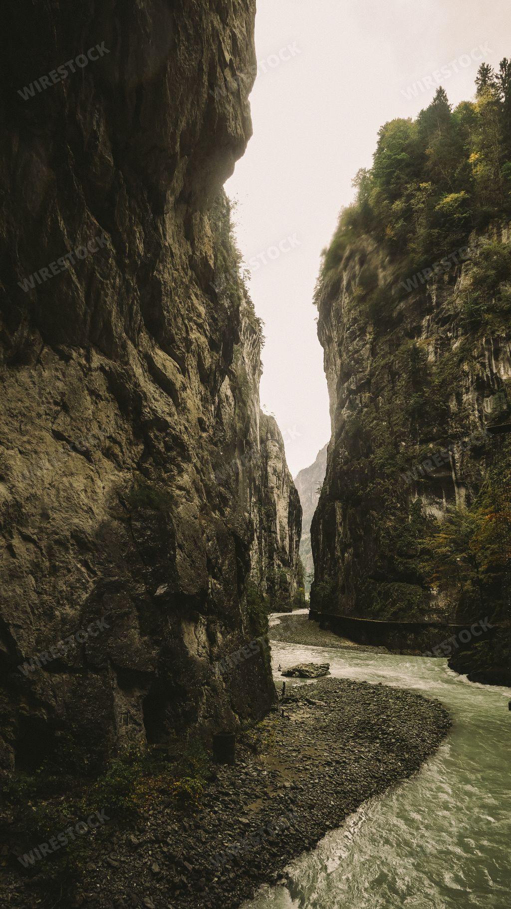 A vertical shot of a river surrounded by tall cliffs covered with trees