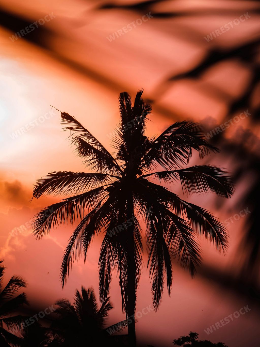A vertical low angle shot of the silhouette of a plan tree with an orange sky