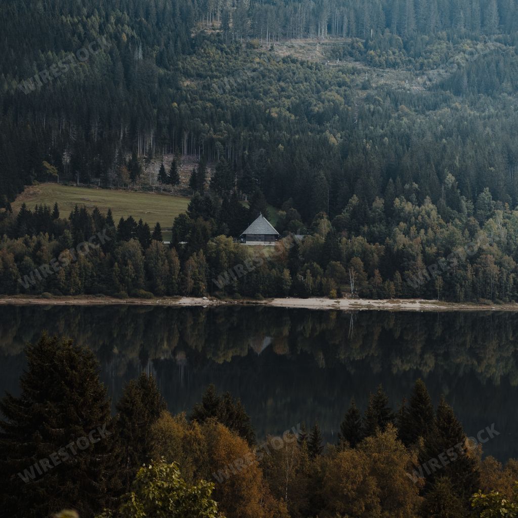 A beautiful view in the forest with a small house surrounded by fir trees