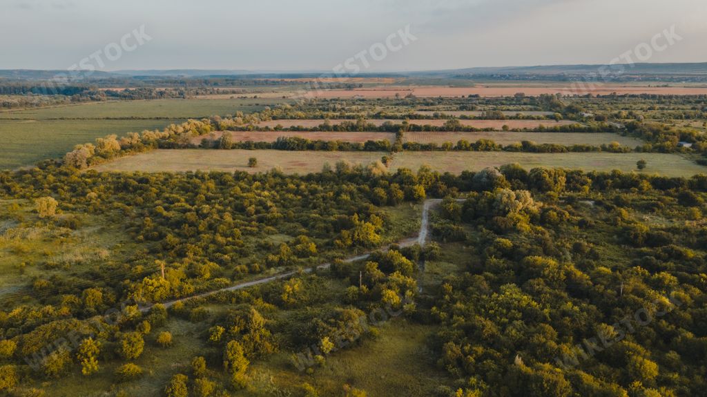 A high angle shot of a meadow with many trees