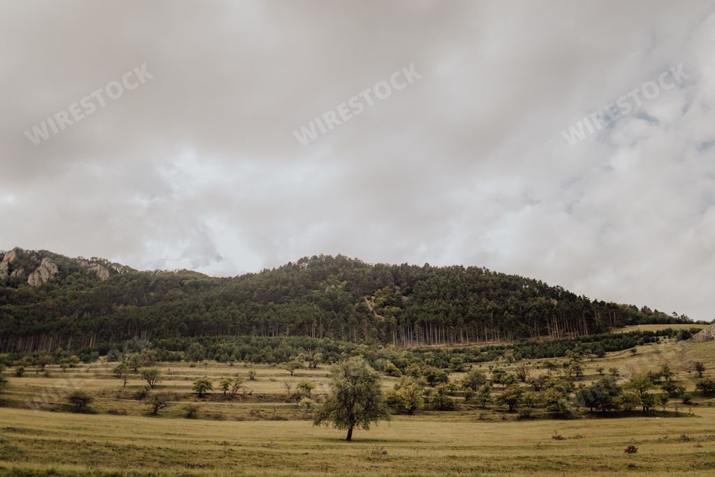 A scenic landscape in the background of a green forest; a view from Rimetea village, Romania