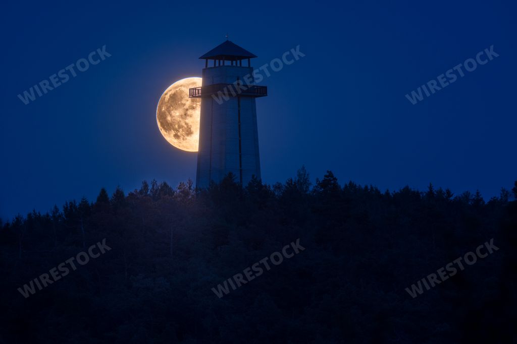 A horizontal shot of a mysterious white tower in a forest during the night with the full moon visible.