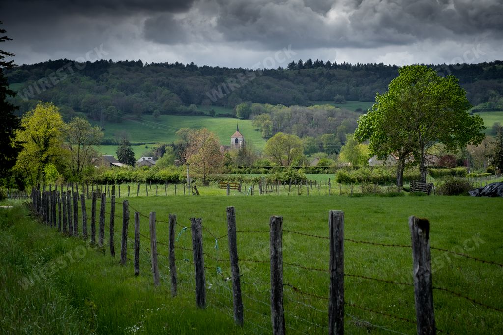 A grassy field with a barb wire fence and forested hills in the distance under a cloudy sky