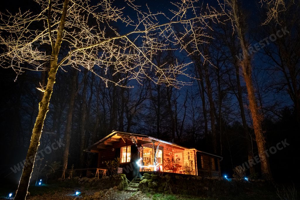 A house with lit lights surrounded by leafless trees and a dark blue sky in the background at night time