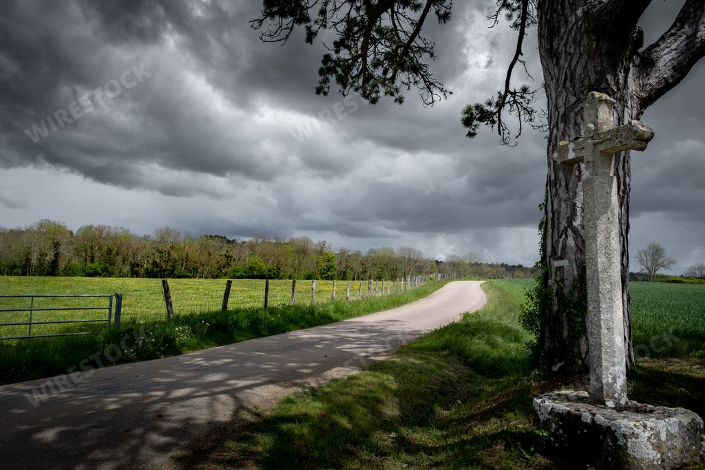 A pathway in the middle of grassy fields under a cloudy sky