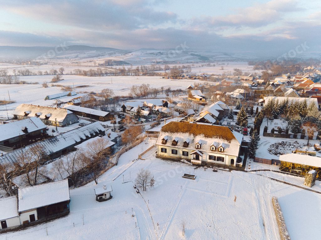 Aerial view of snow-covered residential area