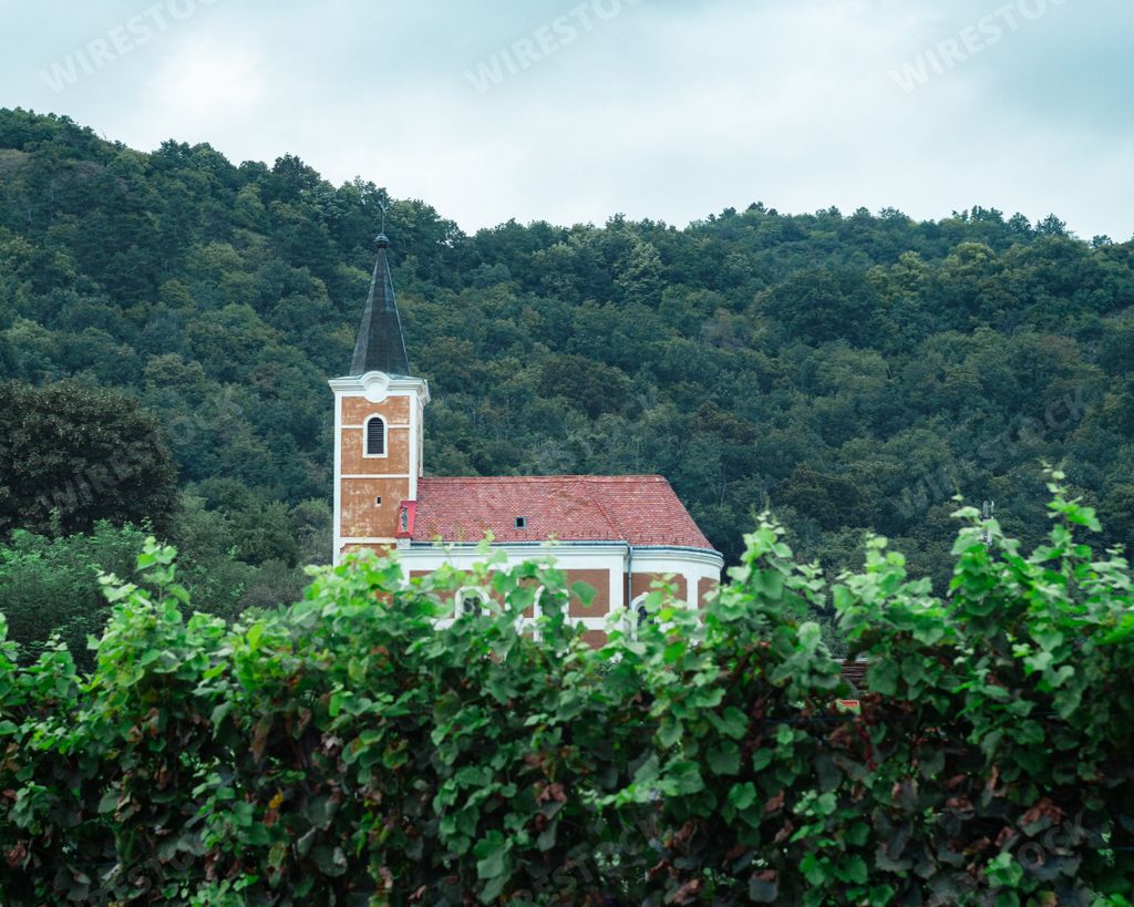 The mesmerizing view of an old castle surrounded by mountains and trees