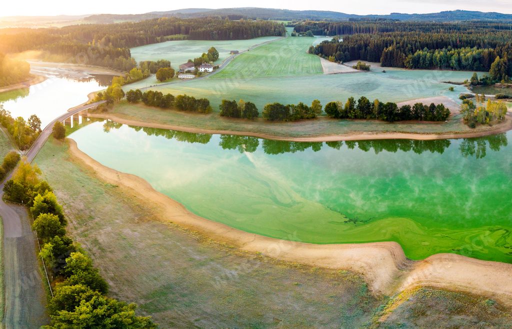 An aerial view of a green lake surrounded by forest and agricultural fields at sunset, with a mountain in the background