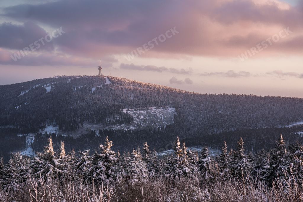 This stunning image captures a breathtaking winter landscape featuring a majestic mountain range and lush evergreen trees