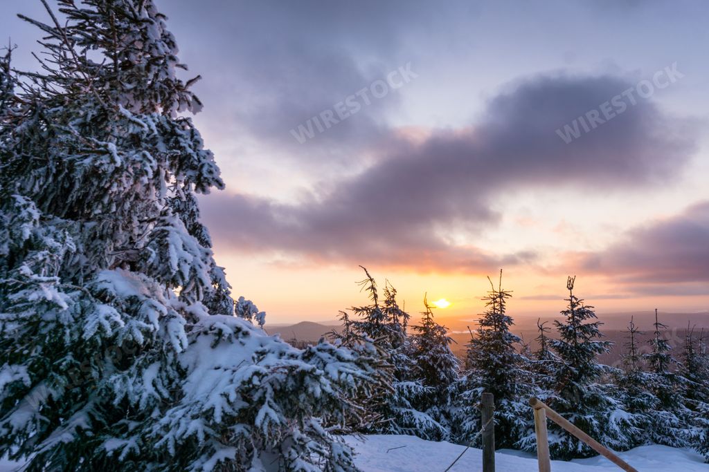 Winterlandschaft mit Sonnenuntergang und schneebedeckten Baeumen - winter landscape with snow covered trees and sunset