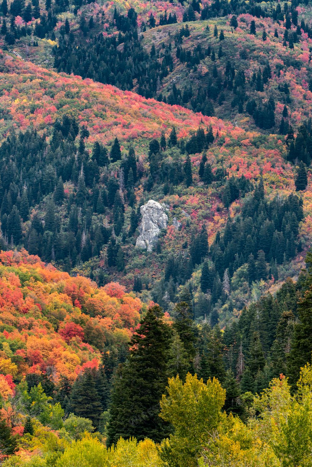 A vertical shot of an elephant rock in Bountiful, Utah, the USA in a fall composition