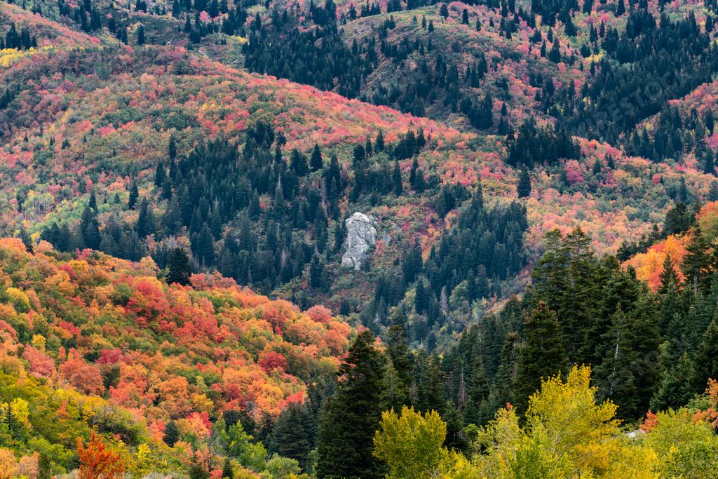 A shot of an elephant rock in Bountiful, Utah, the USA in a fall composition