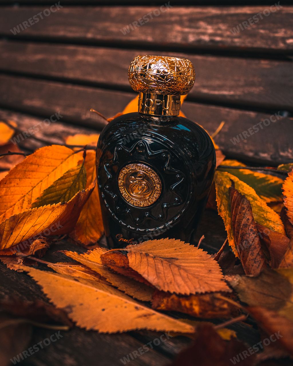 A Female perfume in a beautiful bottle with autumn leaves frame