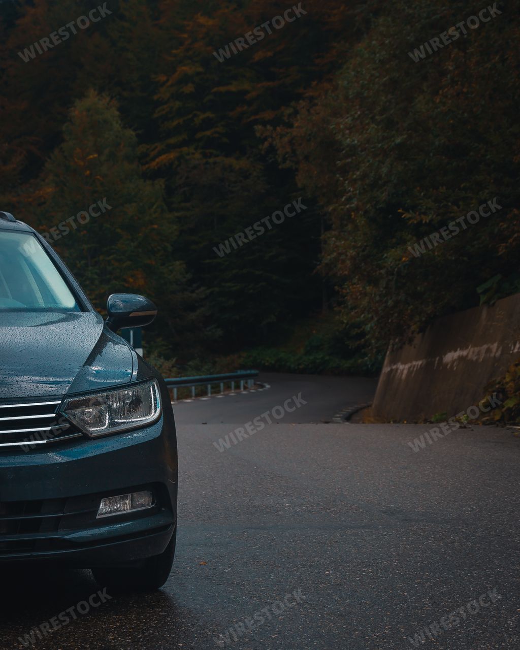 A vertical shot of a car parked on the road with a forest in the background