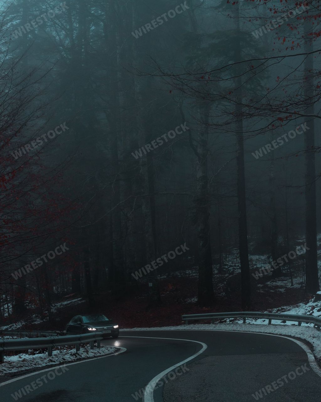 A vertical shot of a car in a dark and creepy road surrounded by tall trees in foggy weather