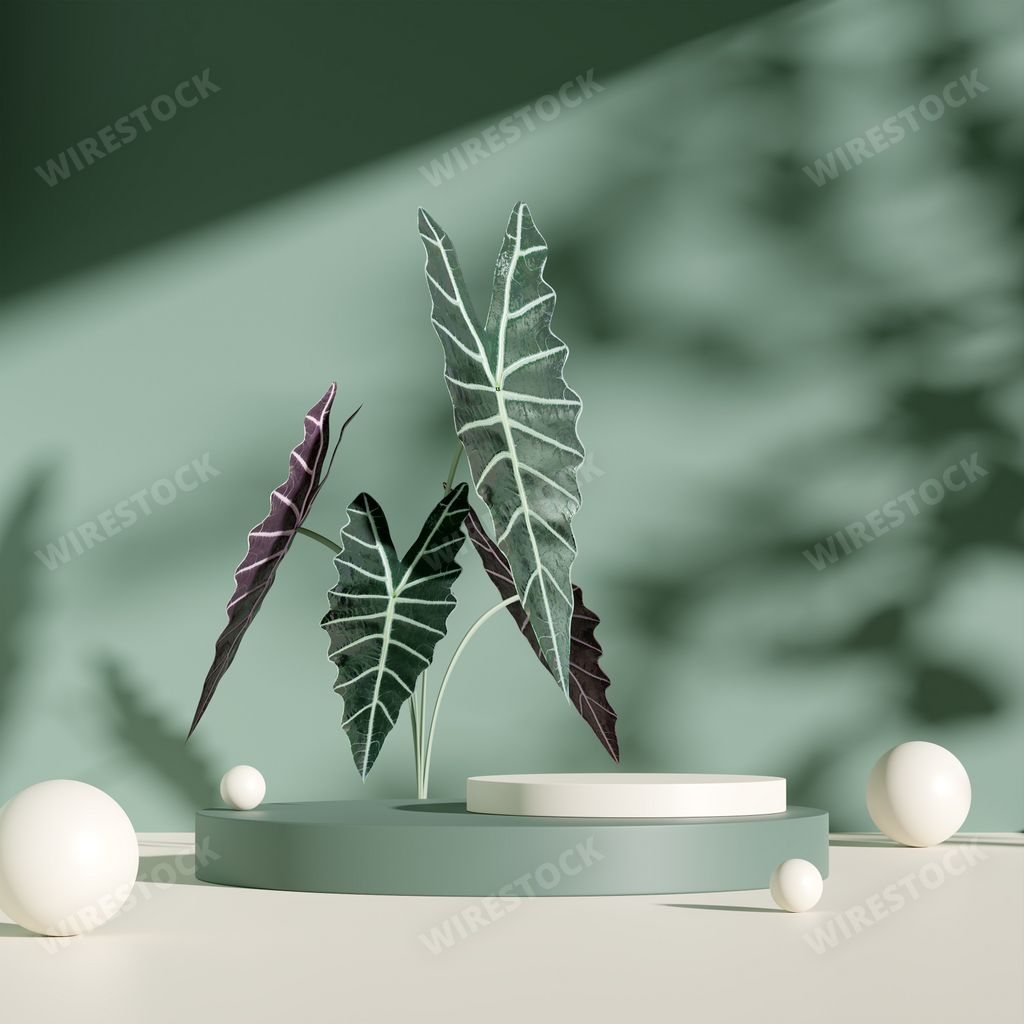 A 3d display podium pastel green background with green plants