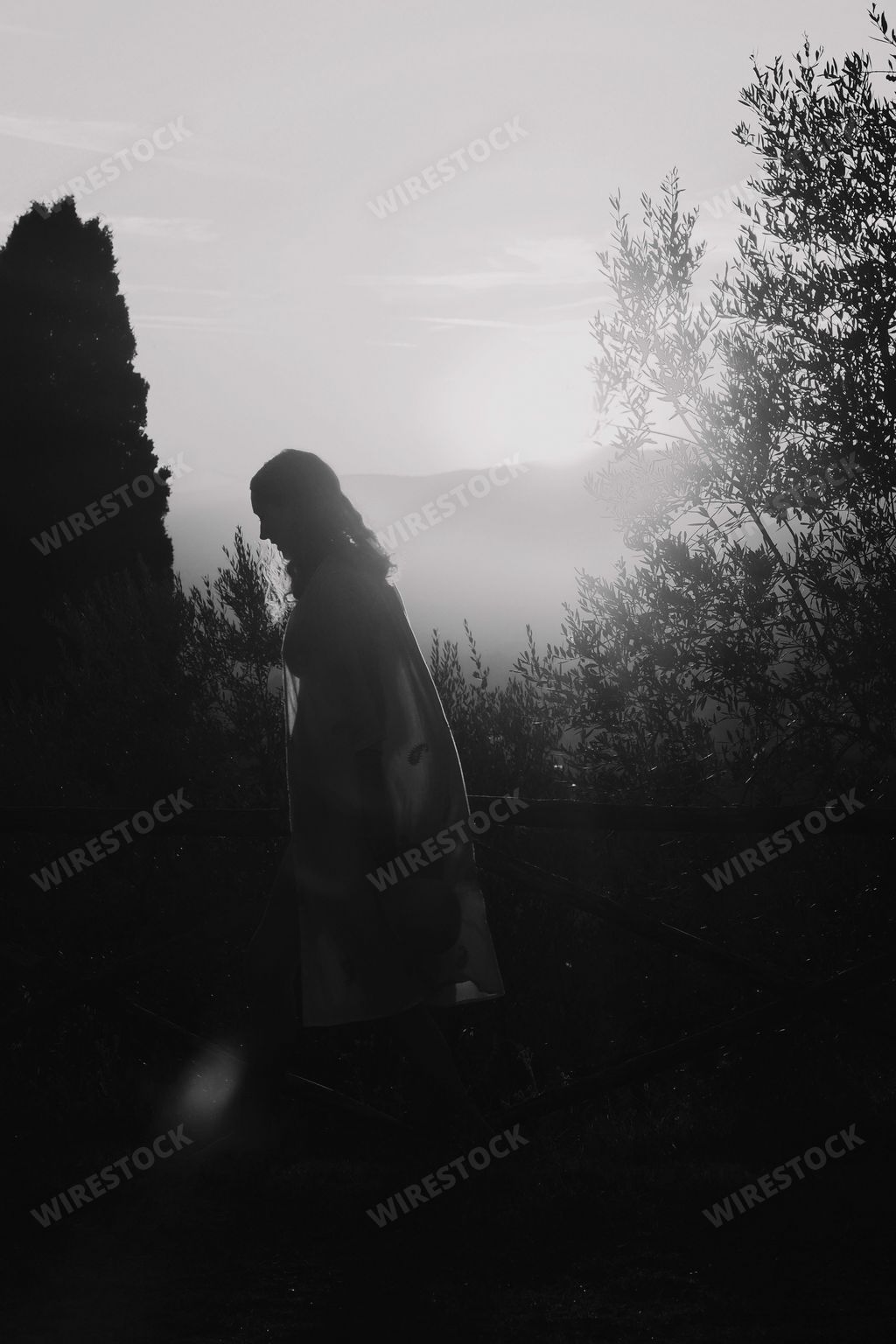A vertical of a silhouette of a woman in Tuscany at sunset in grayscale