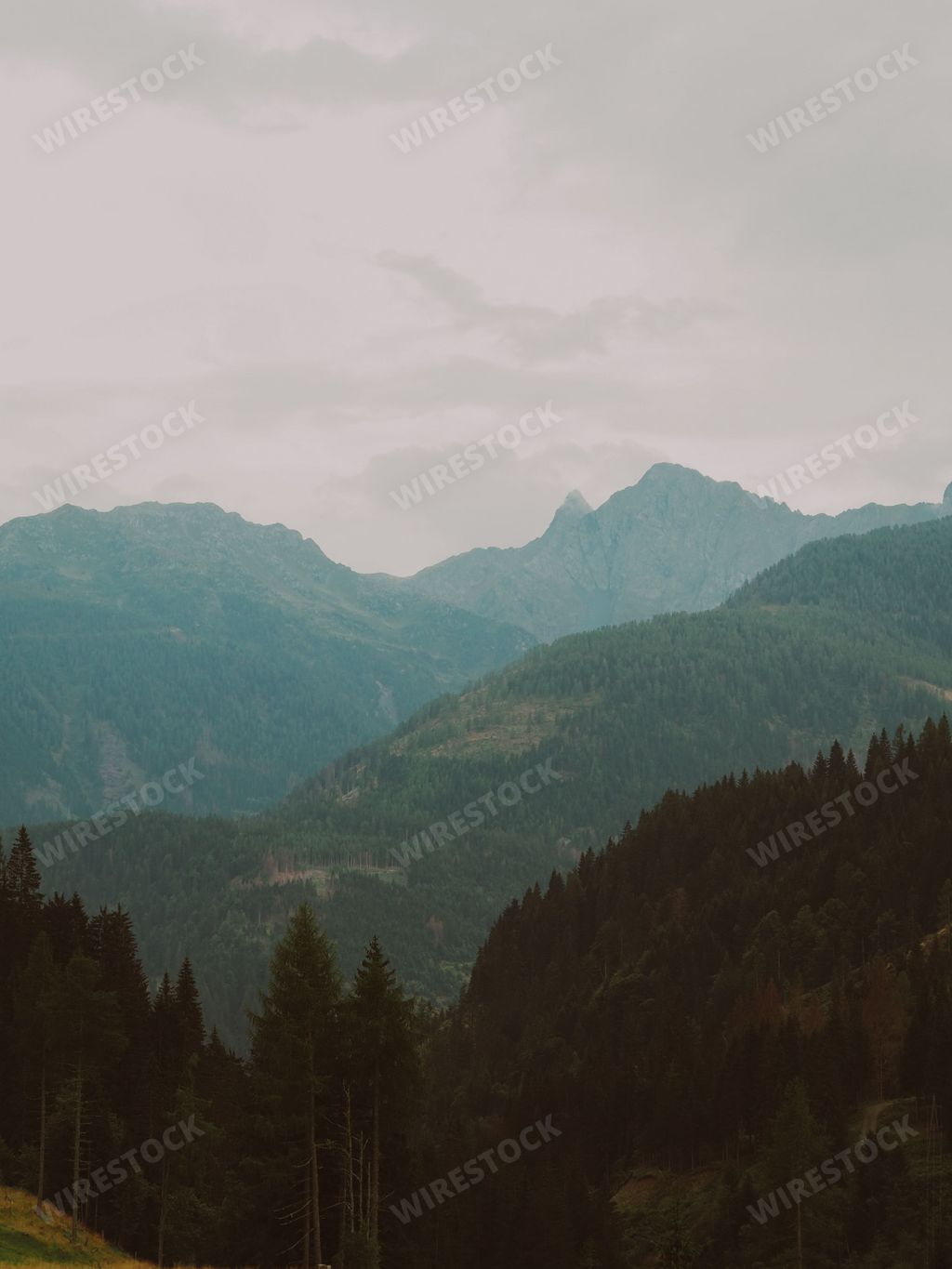 A vertical shot of a beautiful nature scenery of hills and forests