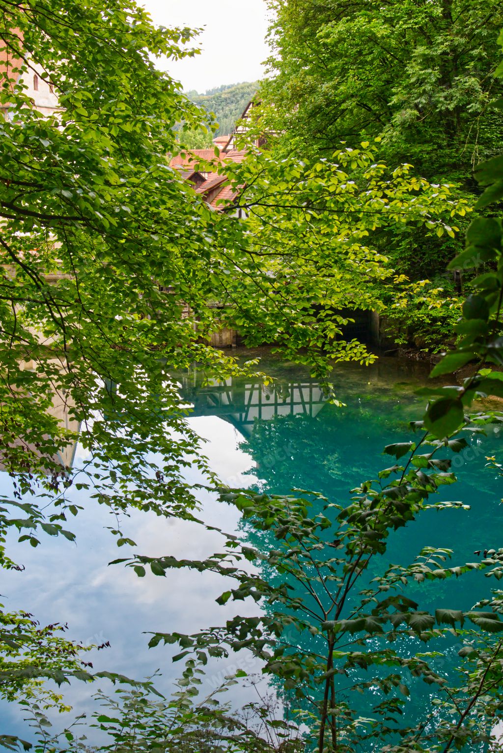 A vertical shot of a lake with trees in the foreground in Blautopf, Blaubeuren, Germany