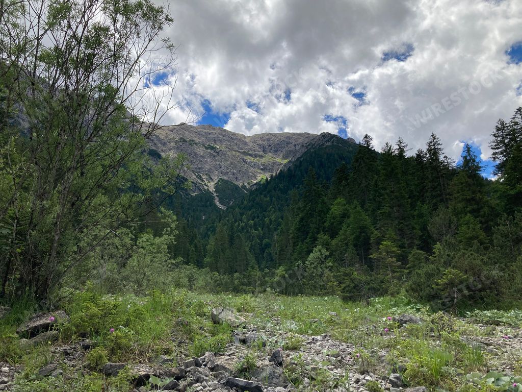A beautiful landscape of forested mountains on a cloudy day