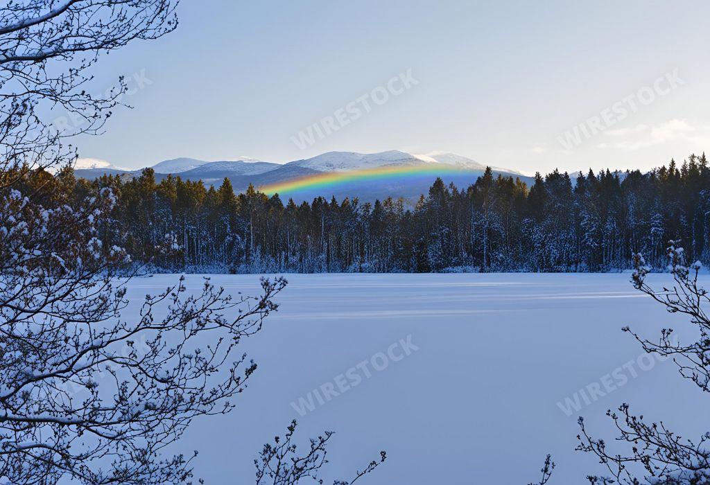 An AI generated illustration of A winter landscape with numerous trees blanketed in snow, featuring a vibrant rainbow in the sky
