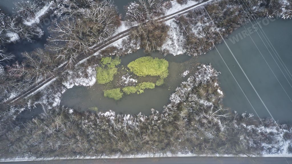 A bird's eye view of a frozen pond in the woods