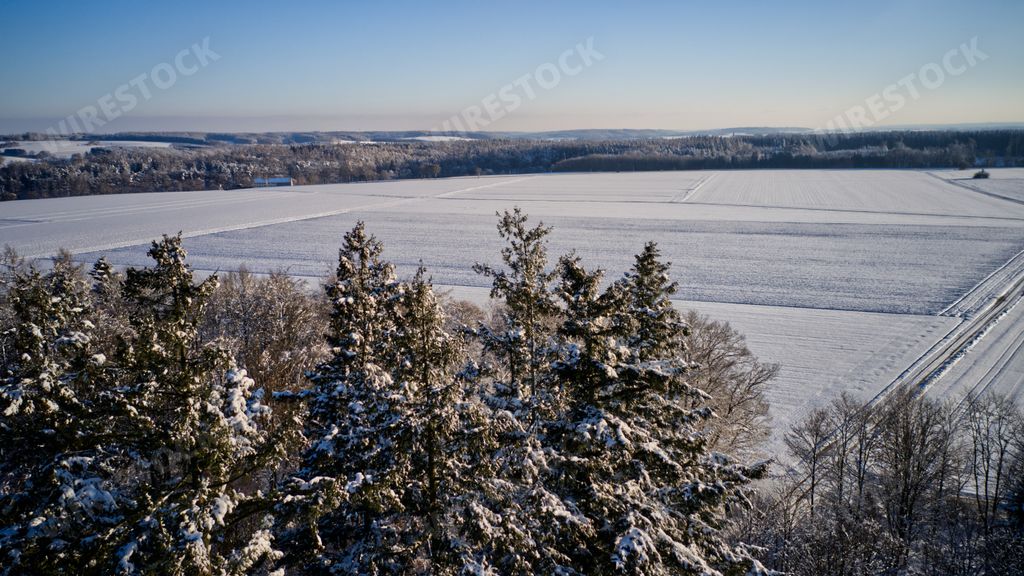 An aerial view of forest covered with fresh snow