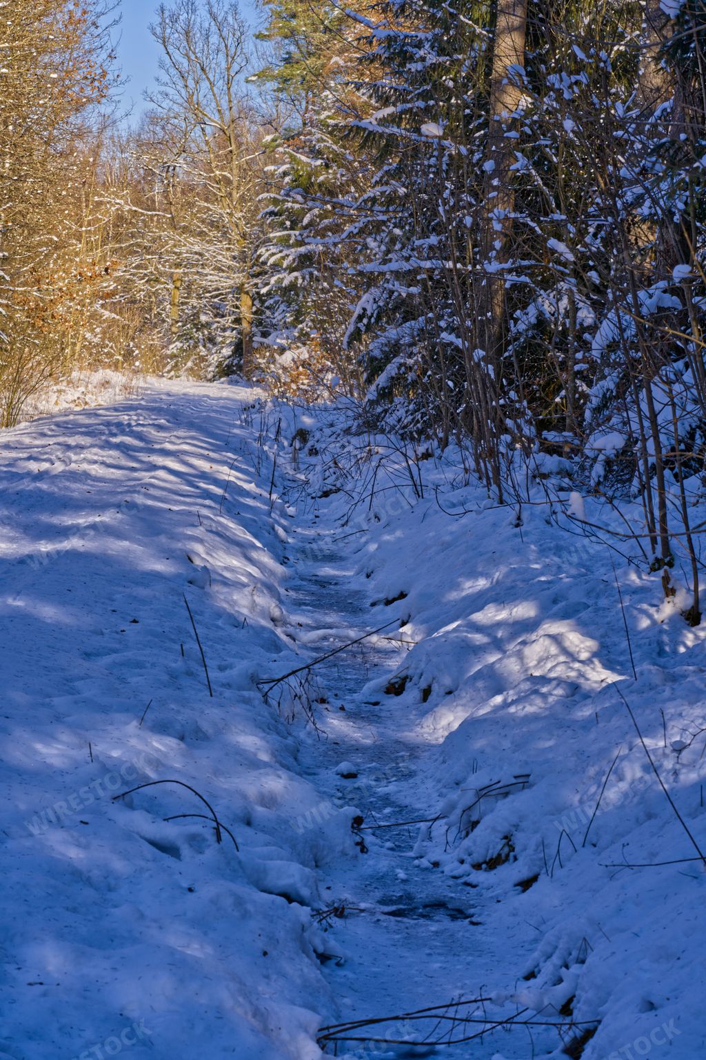 A vertical shot of a snow-covered narrow road through a forest in winter