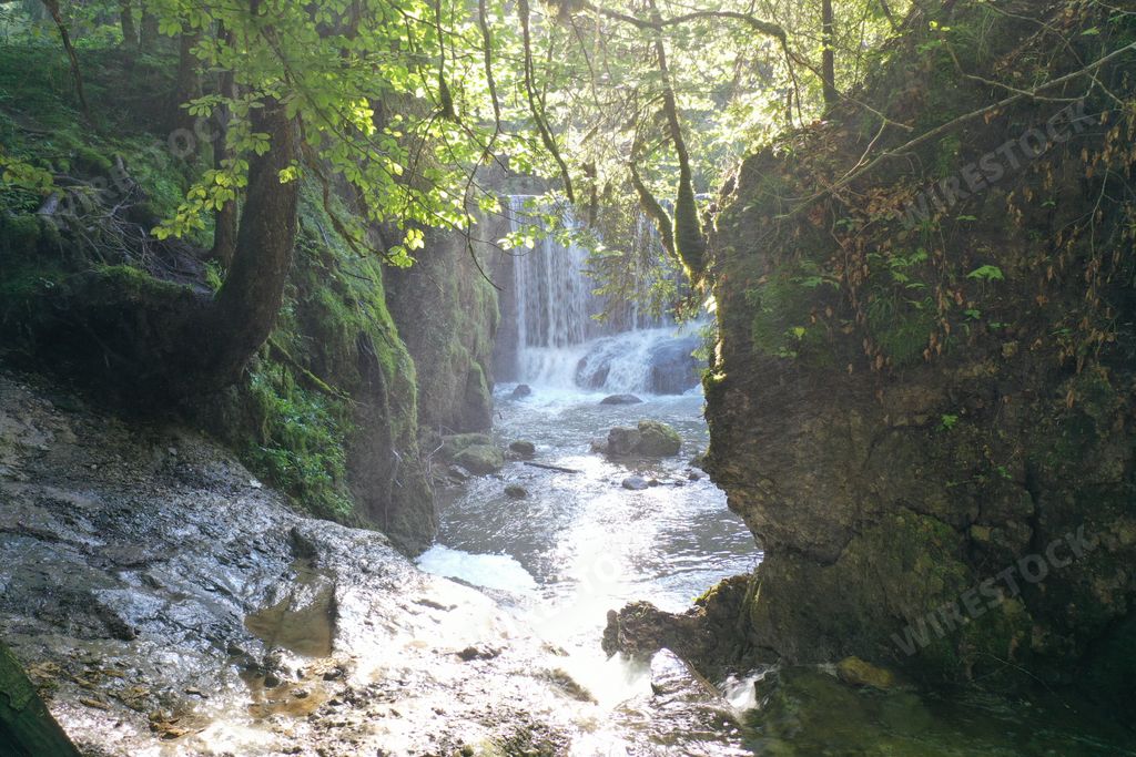 A stream meandering through forest rocks
