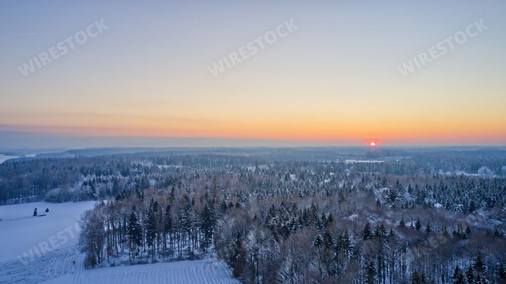 A beautiful view of a winter landscape with trees and plants covered in snow at sunset