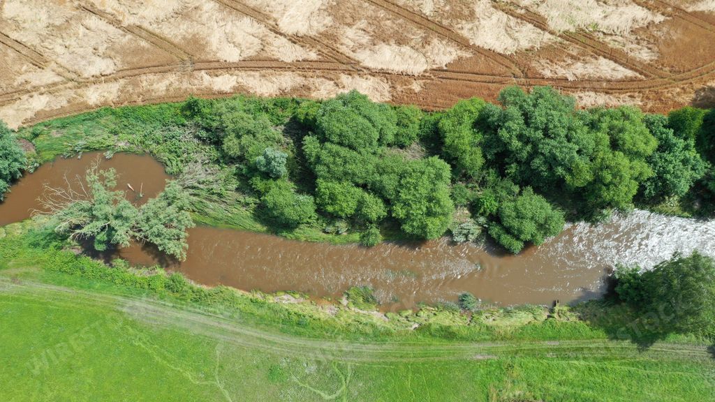 An aerial view of grassland, bush trees and a dirt ground on a sunny day