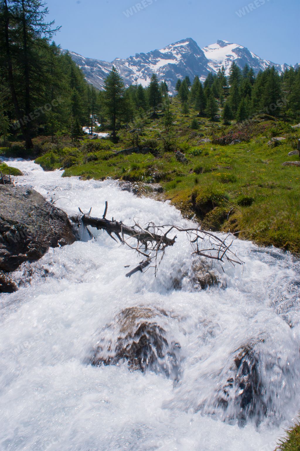A beautiful shot of a river in a forest in Aosta, Italy