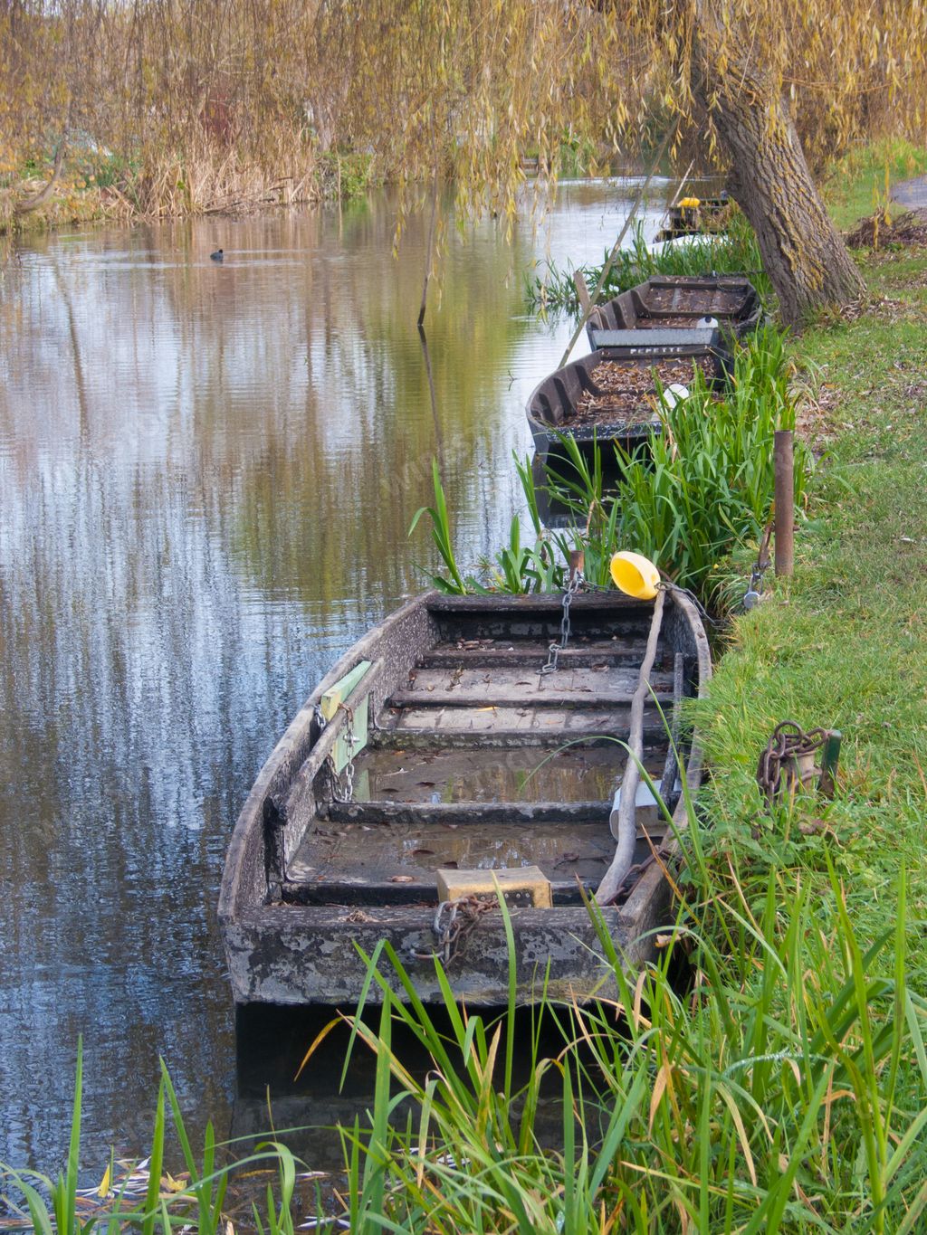 A vertical photo of a small boat in the marshes in Bourges, France
