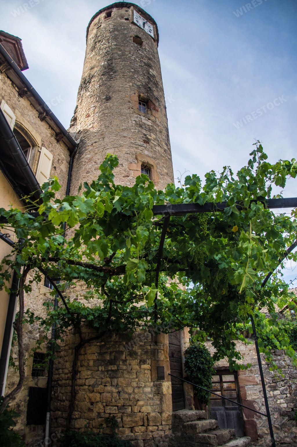 A low angle shot of vines climbing against old stone tower in La Canourgue in Lozere, France, Europe