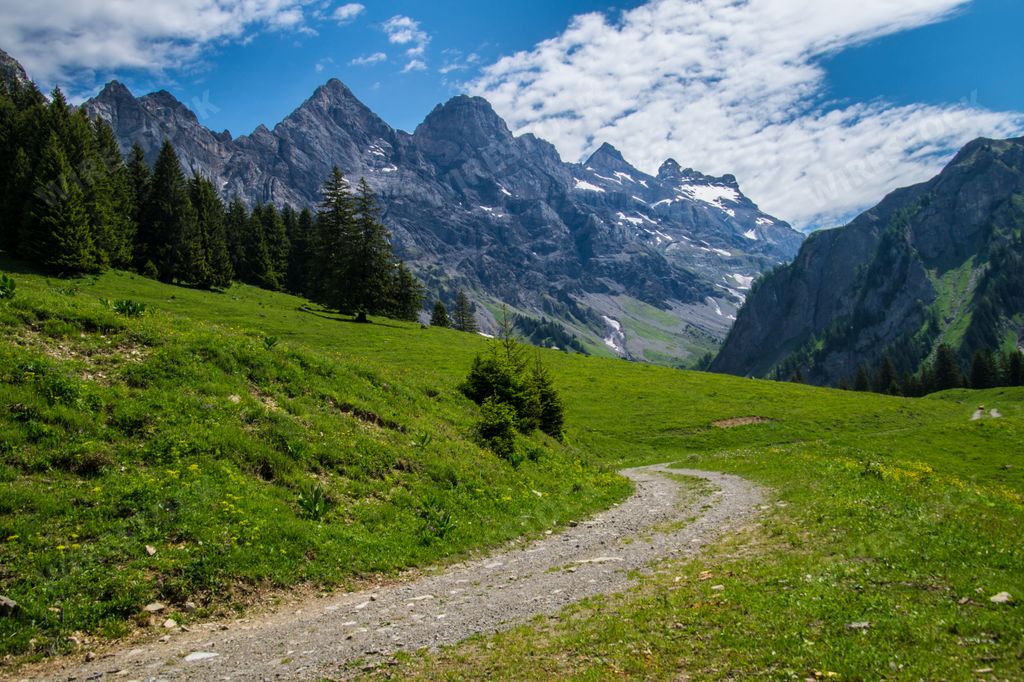 A beautiful view of a village with large trees and mountains