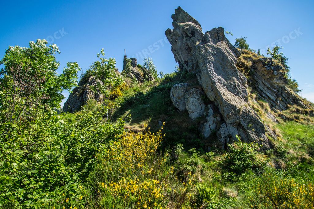 A low angle shot of rock and green plants under the blue sky on a sunny day
