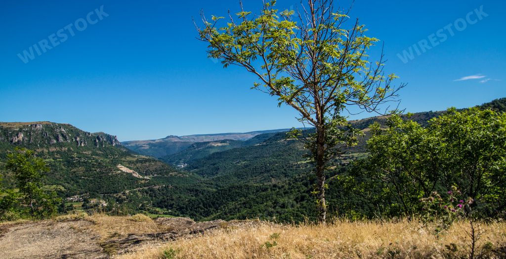 A beautiful view of the green mountains gleaming under the blue sky in France