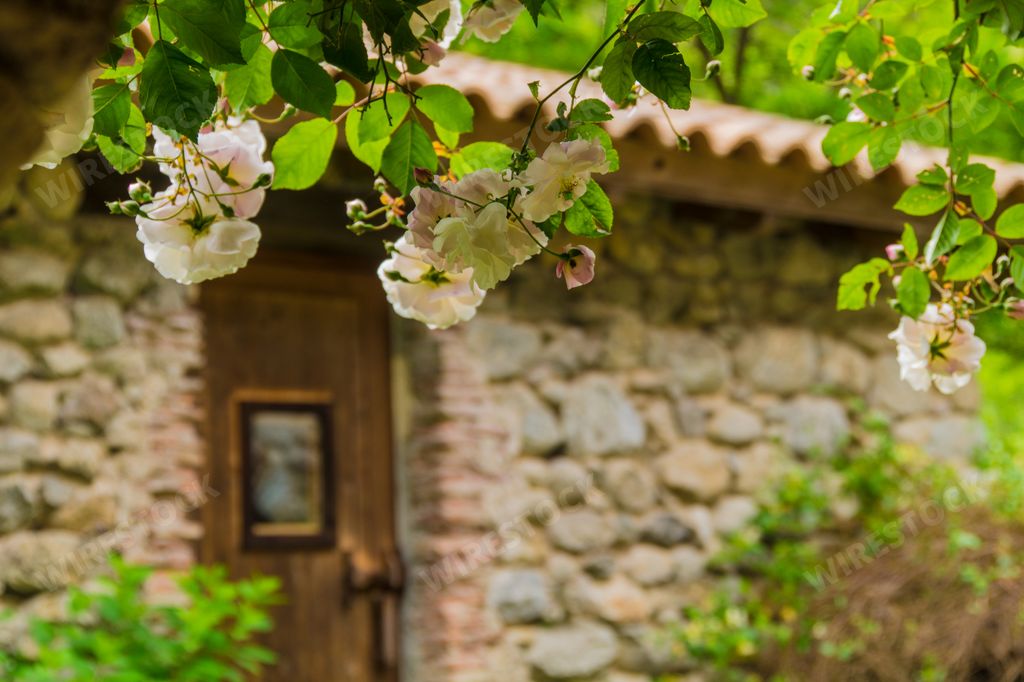 A closeup shot of a small cute house with a beautiful garden